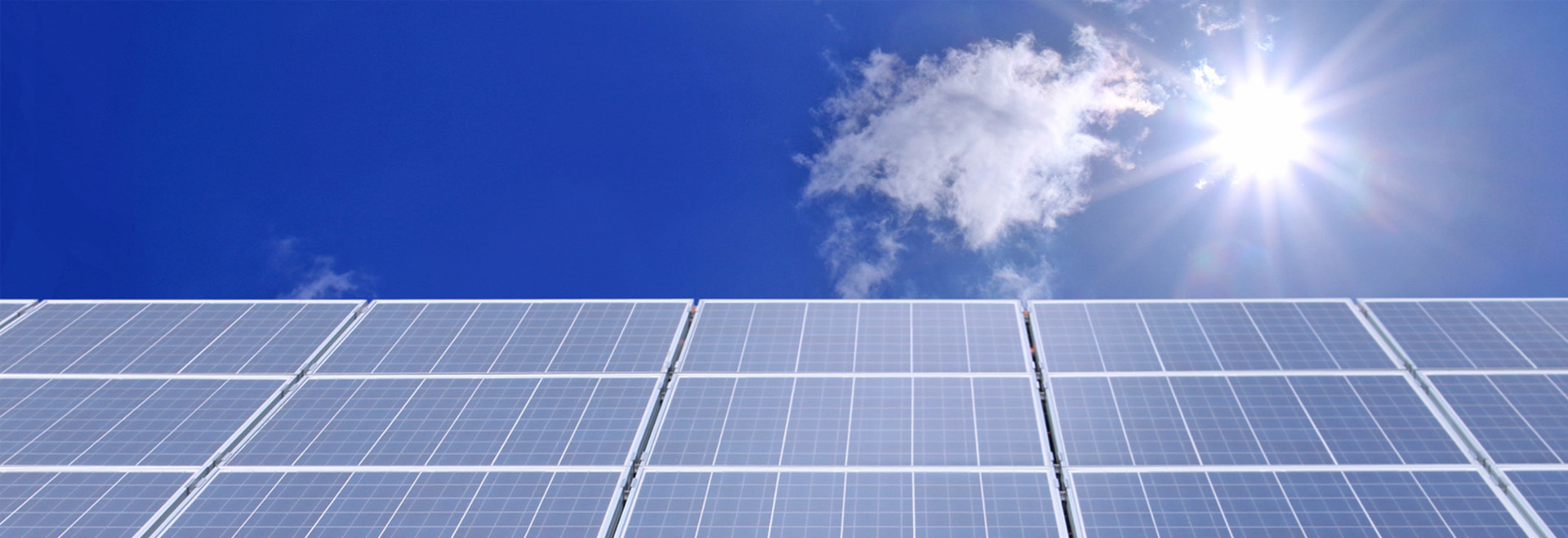Reinigungen von Solarparks und Freiflächenanlage